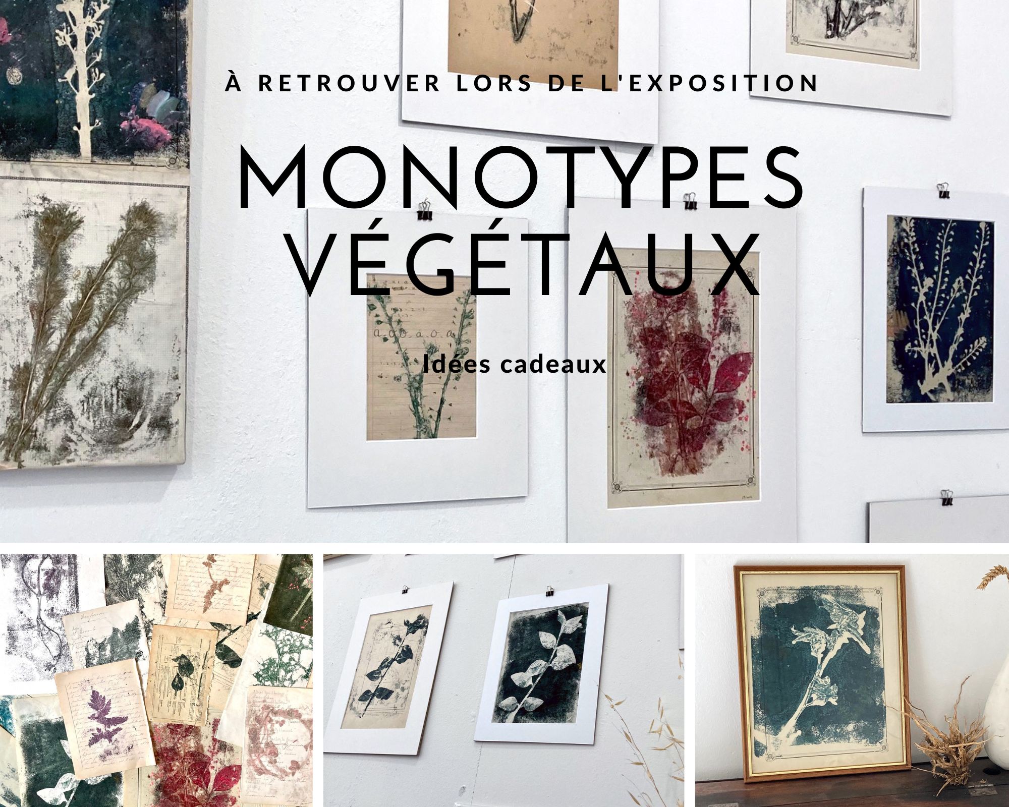 You are currently viewing Monotypes végétaux